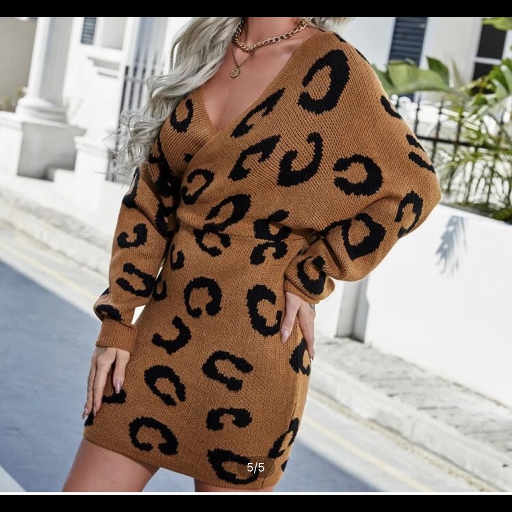 Sweater Dress